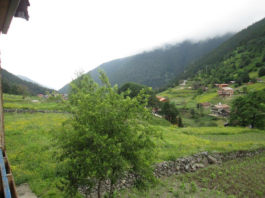 Zeren Pansiyon Kamalac Luaran gambar
